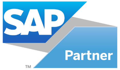 SAP Partner